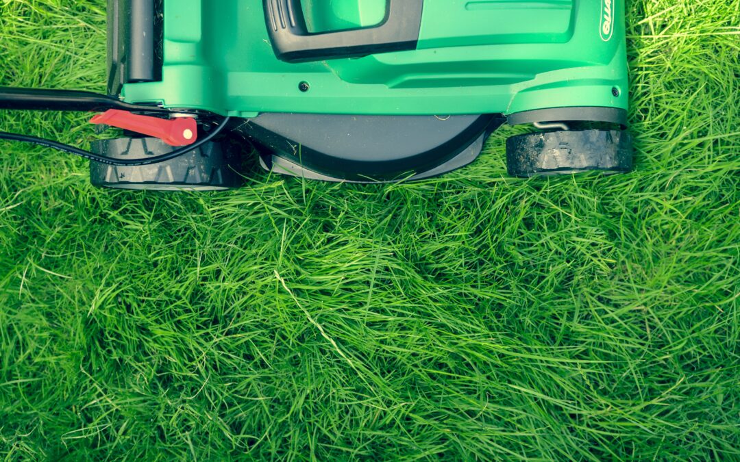 Shrinking or Transforming Your Lawn