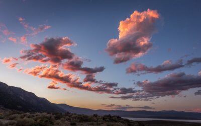 Sweet Balance with Earth