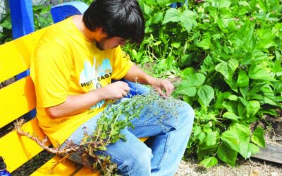 Praying on Seeds: Solidarity for Puerto Rican Sovereignty