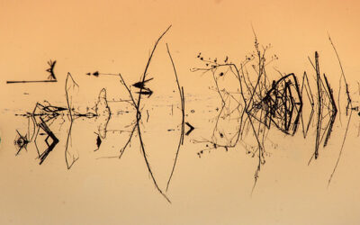 The Small Water Cycle & Global Warming