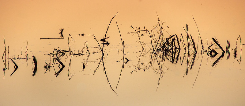 The Small Water Cycle & Global Warming