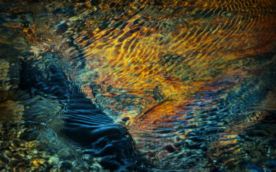 A Prayer for the New Year