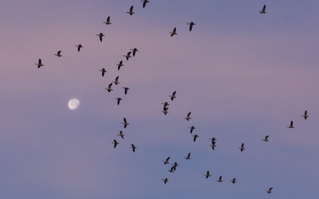 Pleasing the Divine with Evolutionary Love