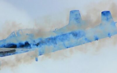 Endless War, Endless Environmental Harm