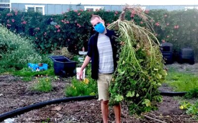 Our Wishlist: 7 Ways to Get Involved