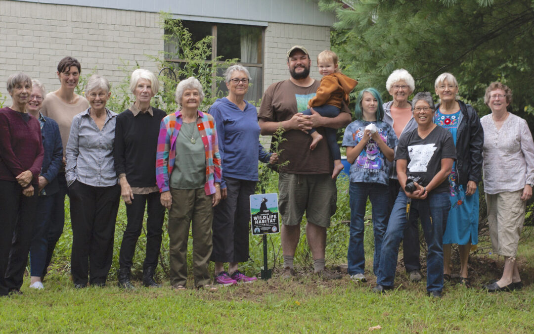 Birds, Bees, and Butterflies: Monthly Meeting in Fayetteville, Arkansas Creates New Habitat for Wildlife