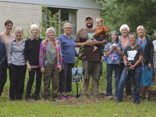 Birds, Bees, and Butterflies: Monthly Meeting in Fayetteville, Arkansas Creates New Habitat for Wildlife