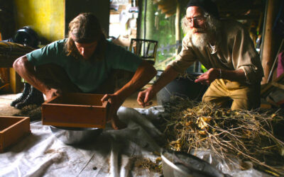 Mutual Aid & Local Food Sufficiency in the Era of COVID-19