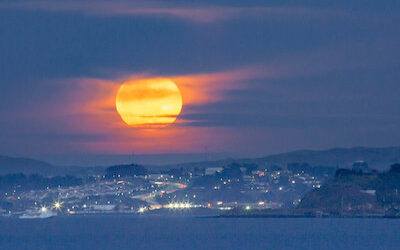 An Easter Reflection with Joanna Macy