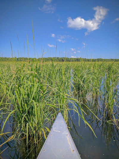 Feeding Us with Love and Local Tradition