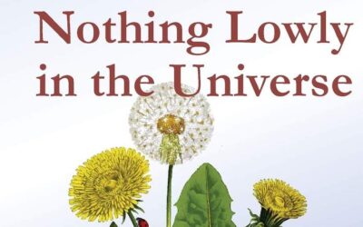 Book Review: Nothing Lowly in the Universe: An Integral Approach to the Ecological Crisis by Jennie M. Ratcliffe