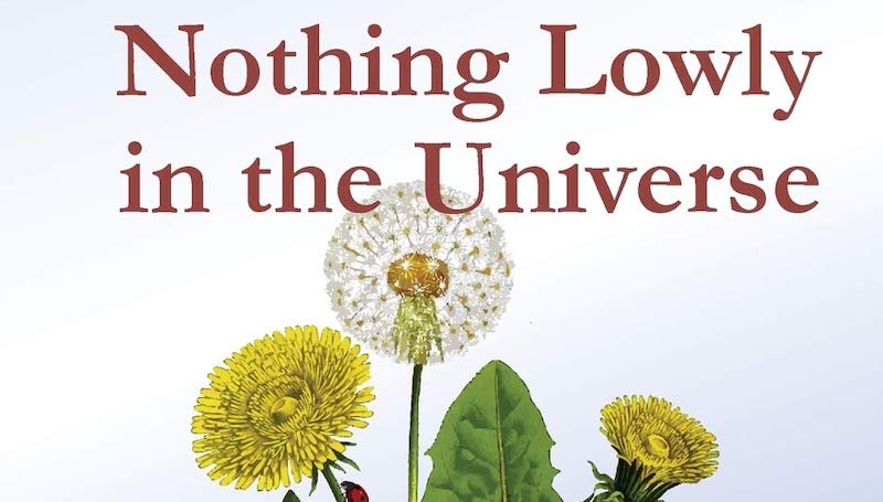Book Review: Nothing Lowly in the Universe: An Integral Approach to the Ecological Crisis by Jennie M. Ratcliffe