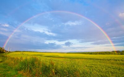 Contemplative Action in the Time of Climate Change