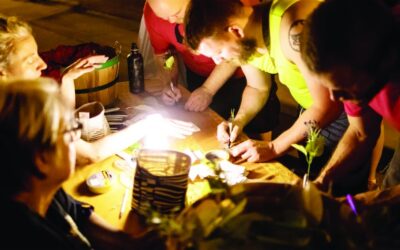 Adding Leaves to the Grove of Life