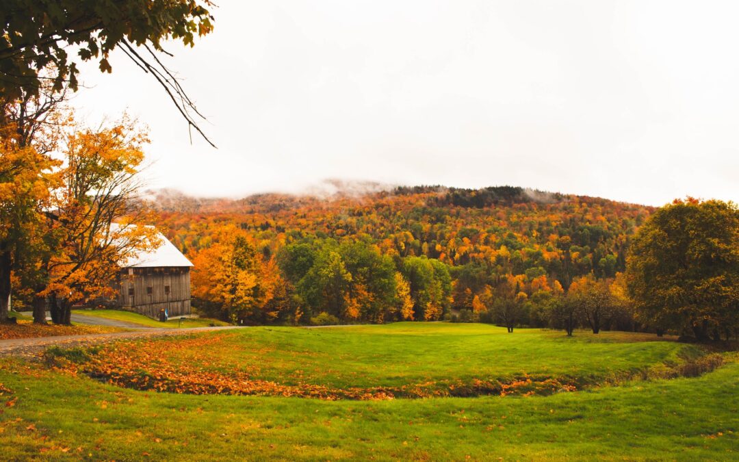 Rising to the Challenge: The Transition Movement and People of Faith