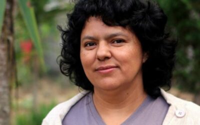 Bringing Light to the Dark: Environmental Violence