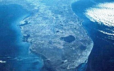 Later Will Be Too Late / Plus Tard Ce Sera Trop Tard*