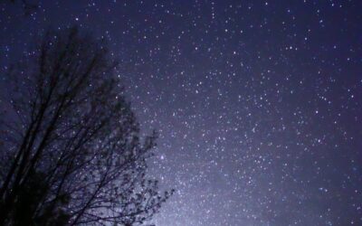 Our Birthright: The Night Sky