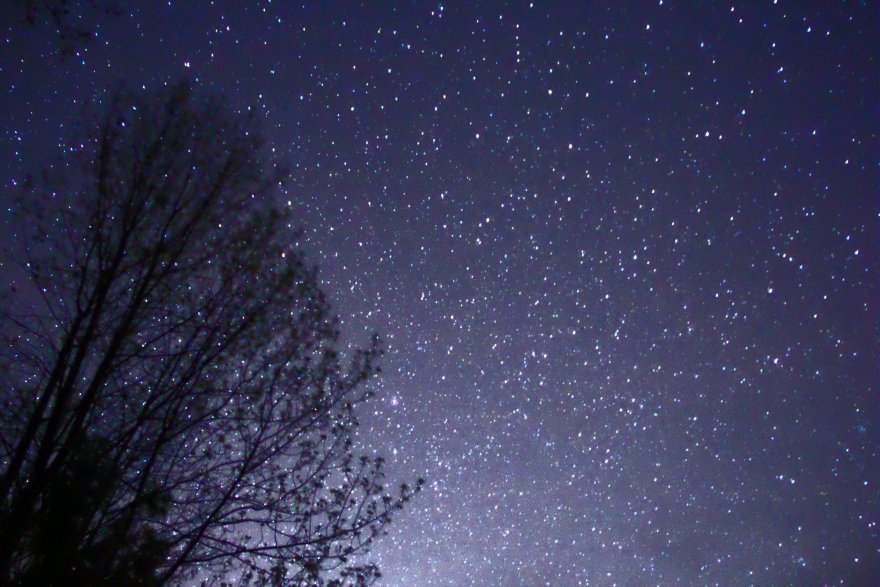 night_sky_stars_trees_02.jpeg