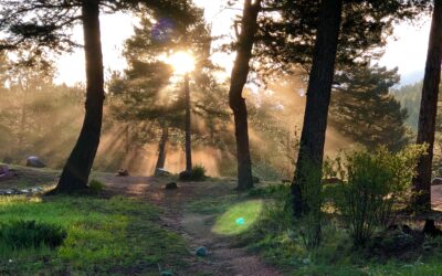 From the Clerk’s Table