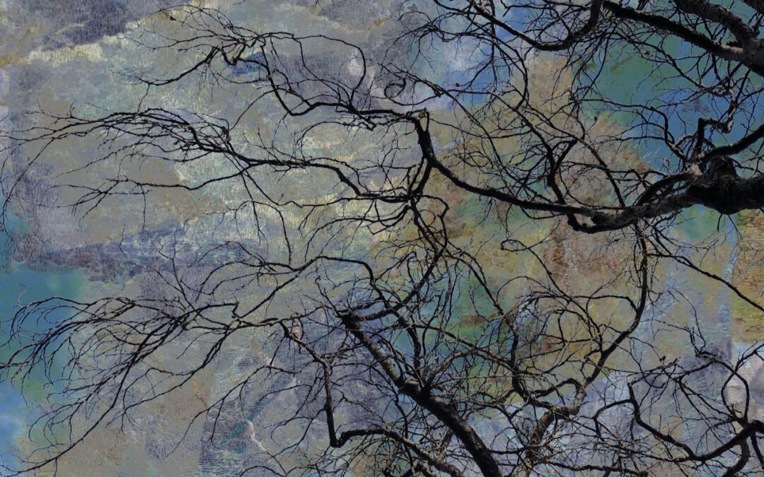 In the School of the Shipwreck