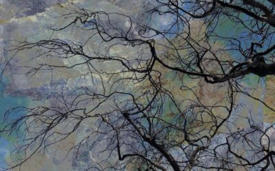 In the School of the Shipwreck