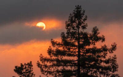 A Shared Quaker Statement: Facing the Challenge of Climate Change