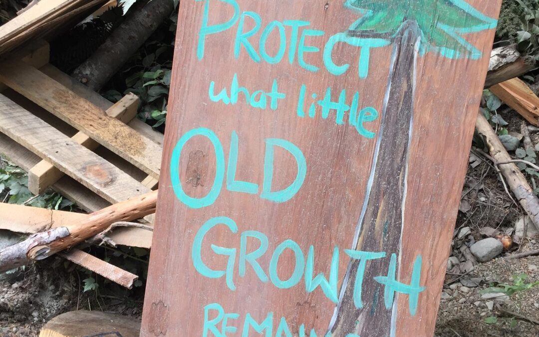 Fairy Creek Blockade