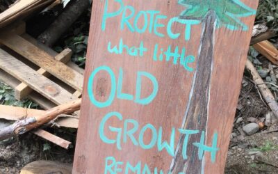 Fairy Creek Blockade