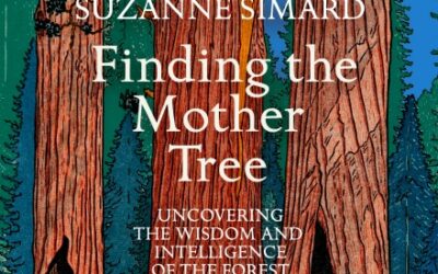 Finding Your Family—In the Forest