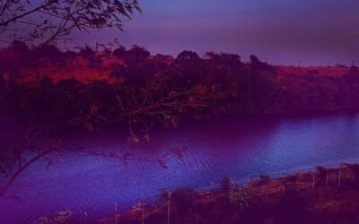 Statement to ECOSOC on Science, Technology, and Innovation