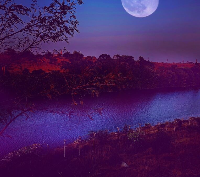 Statement to ECOSOC on Science, Technology, and Innovation