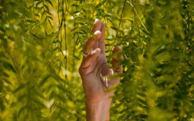 Statement on Unity with Diversity