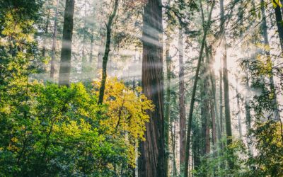 Wellsboro Monthly Meeting