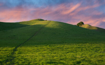 Another World is Possible: An End of Year Message