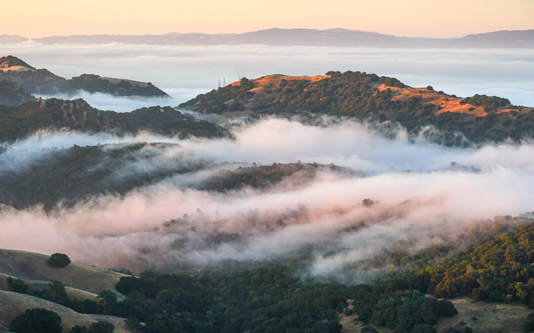 Greetings on the Solstice!