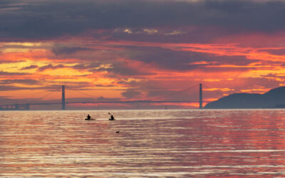 Young Adults’ Workshop: Exploring Ecospirituality