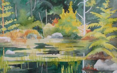 Witnessing the Sacred Depth of Nature