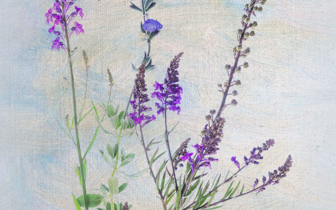 May Earthcare Engagement for Your Community