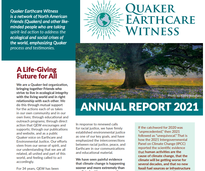 QEW’s 2021 Annual Report