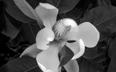 Beverly Ward Interview on Northern Spirit Radio