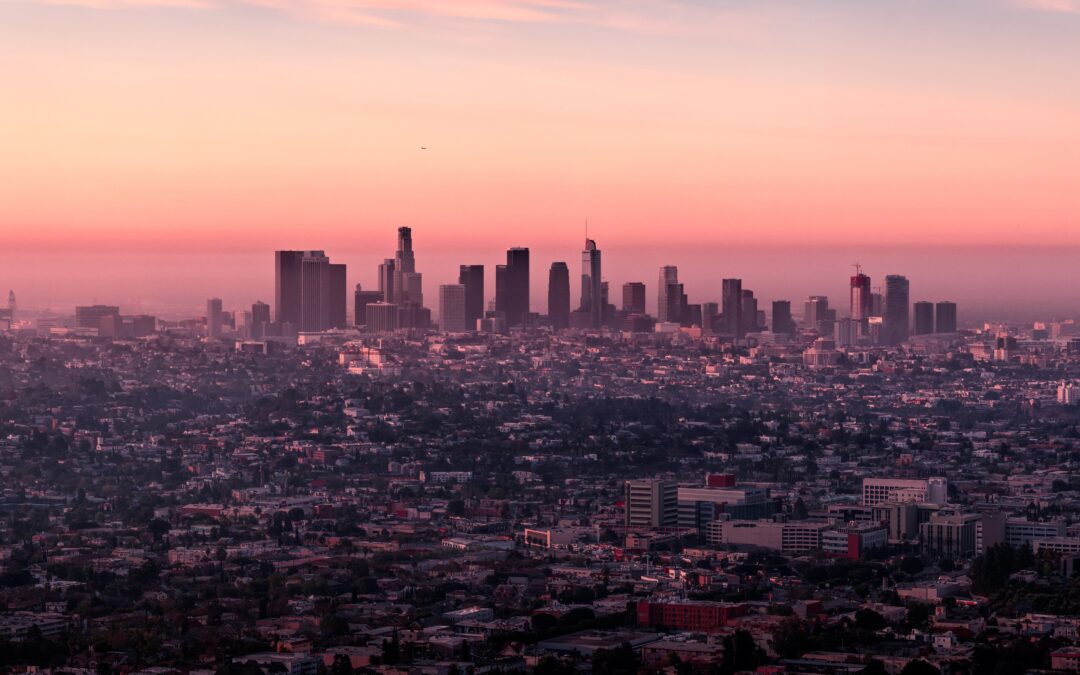 World Population Reaches 8 Billion