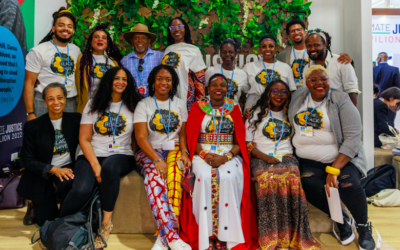 The UN’s COP27 : Where Are We Now?