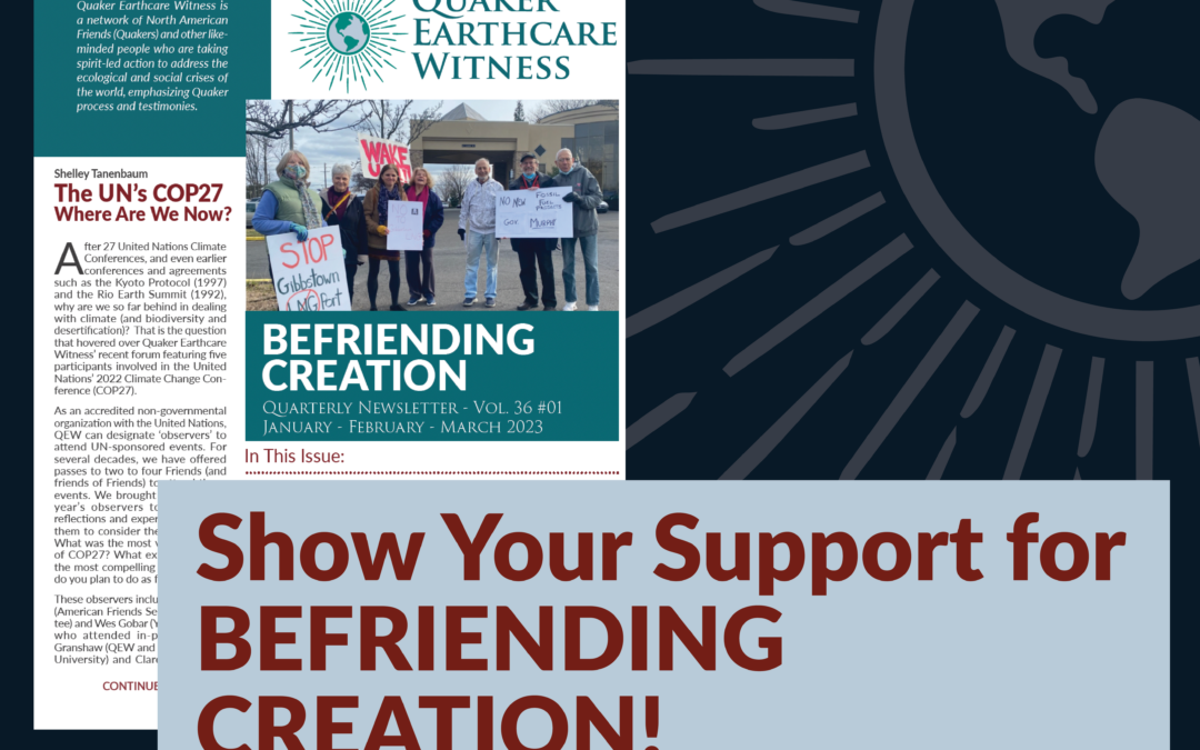 Support BeFriending Creation