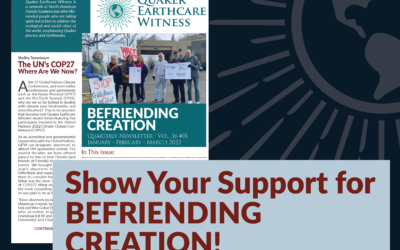 Support BeFriending Creation