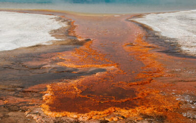 Humans and Nature – The Yellowstone Model