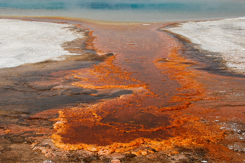Humans and Nature – The Yellowstone Model