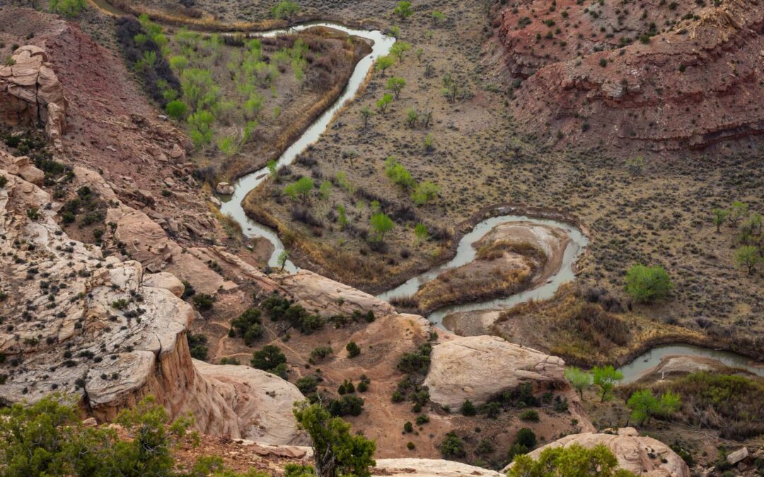 Freeing Ourselves From Possessions