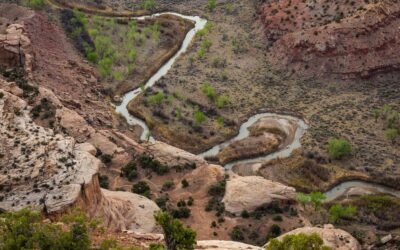 Freeing Ourselves From Possessions