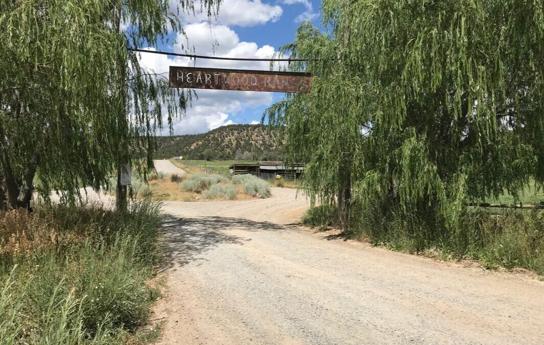 Building Community, Treading Lightly: The Promise of Cohousing